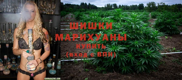 трава Белокуриха