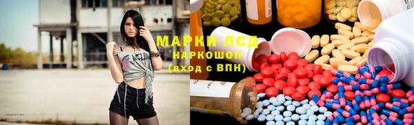 трава Белокуриха