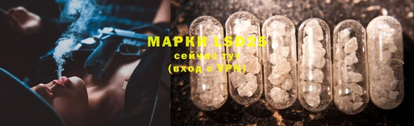 трава Белокуриха