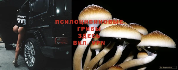 трава Белокуриха