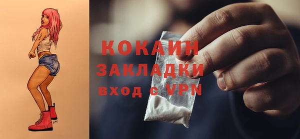 трава Белокуриха