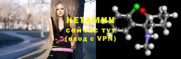 трава Белокуриха