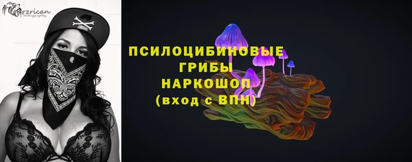 трава Белокуриха