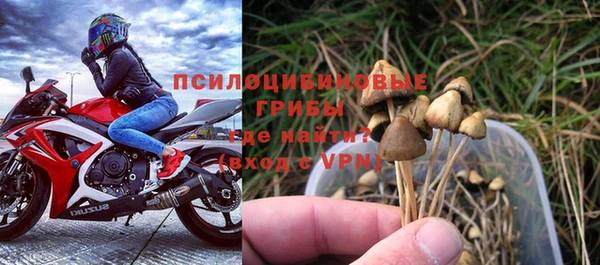 трава Белокуриха