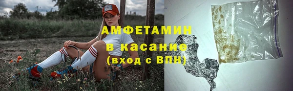 трава Белокуриха