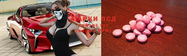 трава Белокуриха