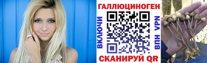 Галлюциногенные грибы мухоморы  Купить  Задонск 